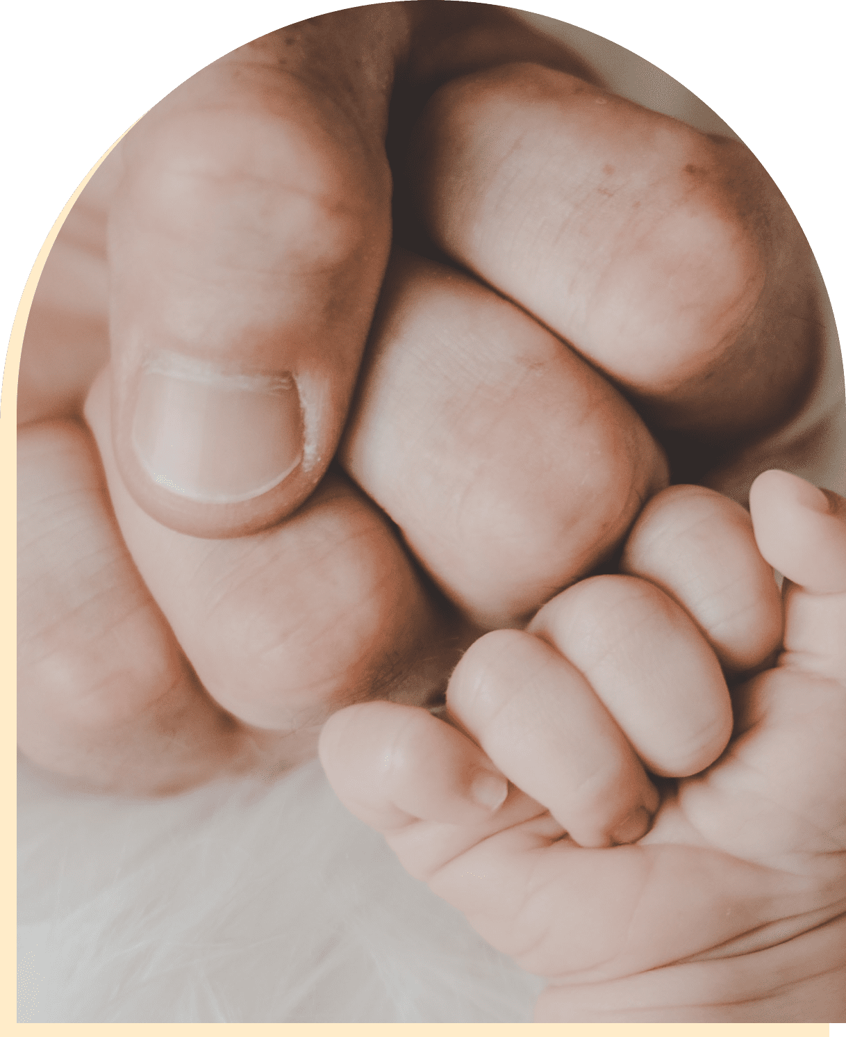 Servicios legales prematuros
