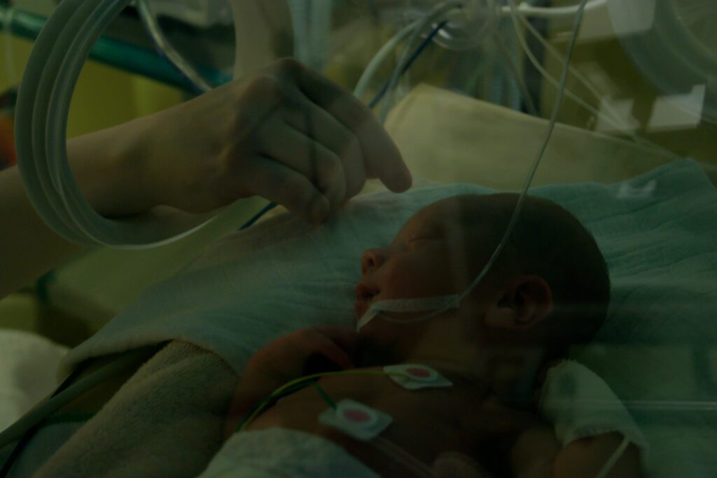 cuatro tipos de prematuros